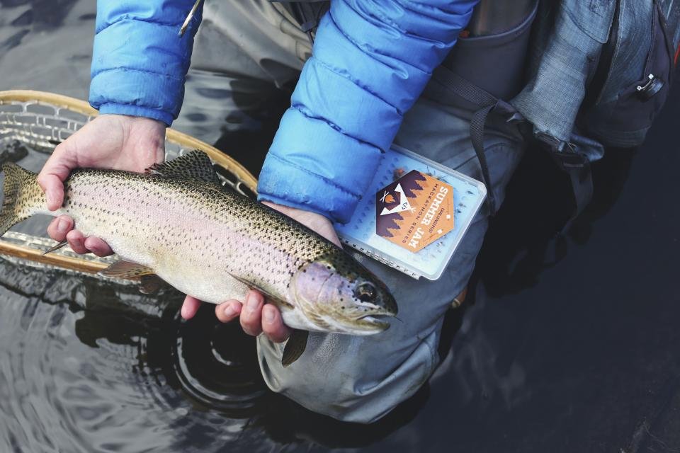 People Fish