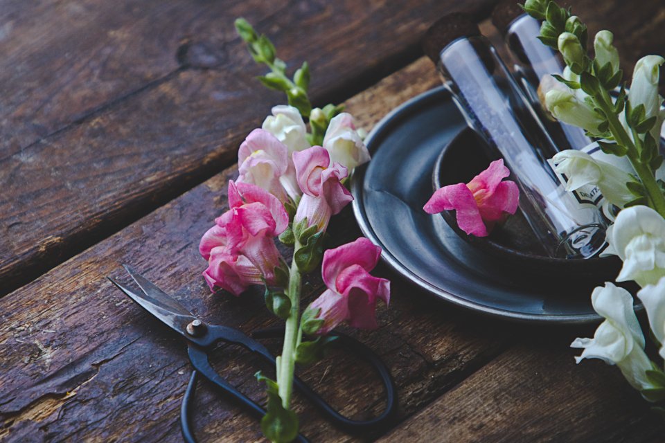 Rustic Table